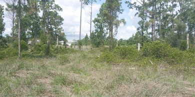 Lehigh Acres Area Lot For Sale in Lehigh Acres Florida