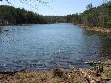 Lake Acreage For Sale in Flat Rock, Alabama