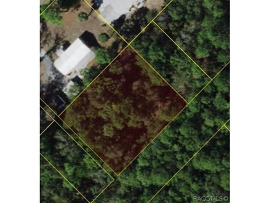 Nestled in the heart of Homosassa, this 0.39-acre homesite - photo 1