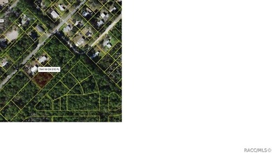 Nestled in the heart of Homosassa, this 0.39-acre homesite - photo 2
