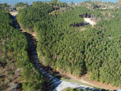 Looking for the perfect place to build your dream home? This - photo 6