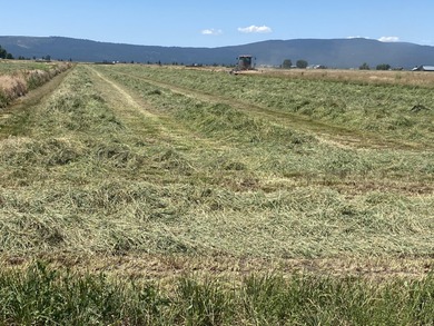 (private lake, pond, coastal) Home For Sale in Bieber California