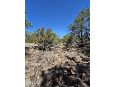 (private lake, pond, creek) Lot For Sale in Vernon Arizona