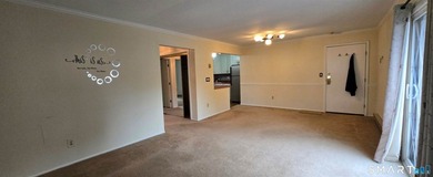 Two-bedroom, two-bath condominium featuring an open floor plan - photo 11