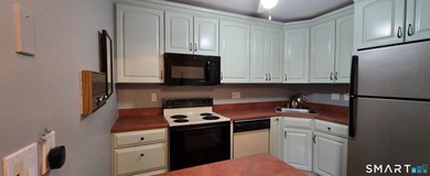 Two-bedroom, two-bath condominium featuring an open floor plan - photo 13