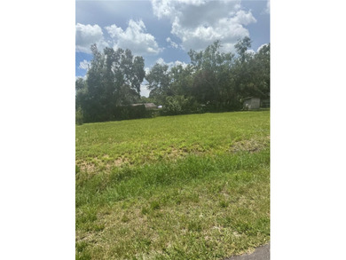 This is your opportunity to get a piece of the Sunshine State - photo 4