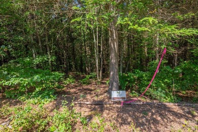 Additional listing photo 4