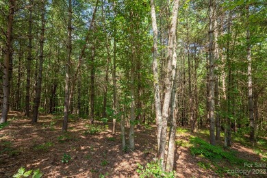 Come see this great wooded homesite in Hawksbill at Lake James - photo 6