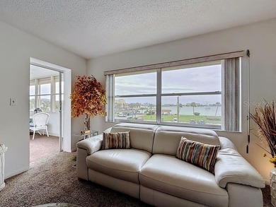 St Petersburg - Sea Towers - This beautifully updated 2 bedroom - photo 22