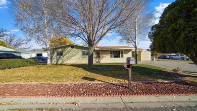 Colorado River Home For Sale in Grand Junction Colorado