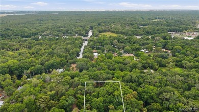 Welcome to Florida's Nature Coast! Built in 2025, this beautiful - photo 3