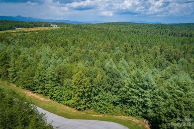 Additional listing photo 3