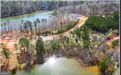 Lake Acreage For Sale in South Fulton, Georgia