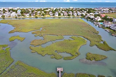 PRICED TO SELL! Updated 2-bedroom, 2 full-bath SUNLIT hideaway - photo 36