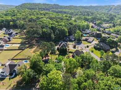 Amazing custom home available in the Spring Creek area in the - photo 47