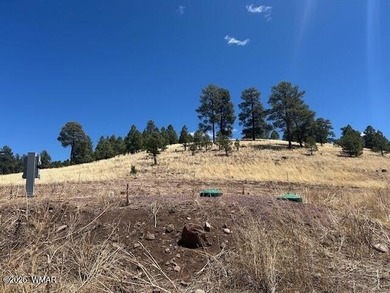Luna Lake Lot For Sale in Alpine Arizona