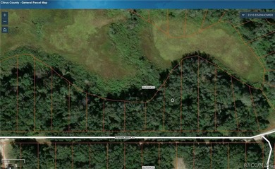 Citrus Lake  Lot For Sale in Inverness Florida