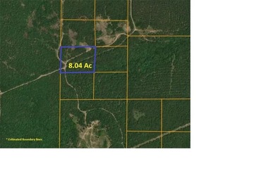 Lake Dardanelle Acreage For Sale in Delaware Arkansas