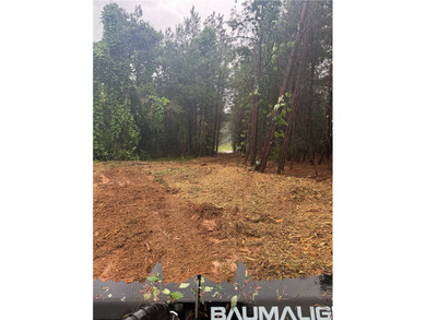 Unrestricted acreage only 4 miles from shopping and all the - photo 23