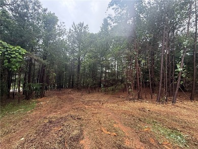 Unrestricted acreage only 4 miles from shopping and all the - photo 24