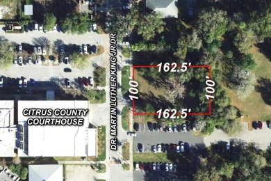 Lake Henderson Commercial For Sale in Inverness Florida