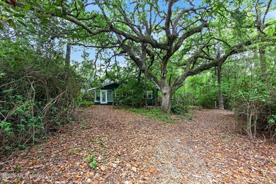 3404 Sq ft Home on 5.28 acres fronting Bayou Talla. This beauty - photo 42
