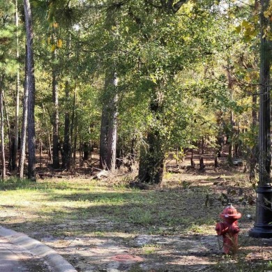 Waccamaw River Lot For Sale in Conway South Carolina