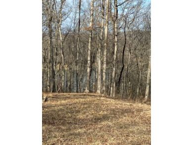 Lake Cumberland Lot For Sale in Monticello Kentucky