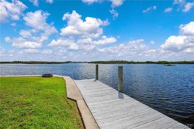 Waterfront Living in Old Homosassa with direct access to the - photo 10