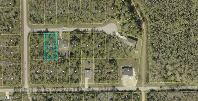 Lehigh Acres Area Lot For Sale in Lehigh Acres Florida