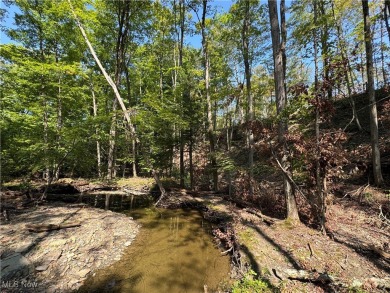 Lake Acreage For Sale in Thompson, Ohio