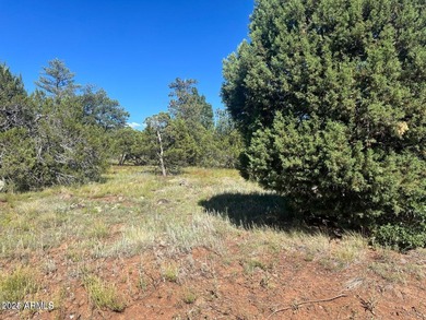 Lake Lot For Sale in Lakeside, Arizona