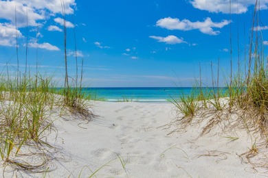 Offering a Watersound Beach Club Membership with acceptable - photo 48