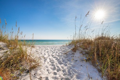 Offering a Watersound Beach Club Membership with acceptable - photo 49
