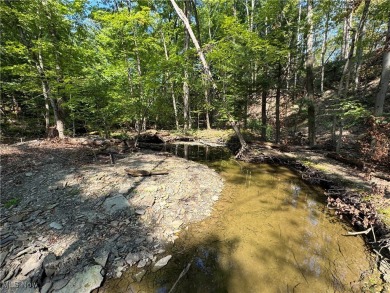 Lake Acreage For Sale in Thompson, Ohio
