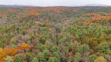 (private lake, pond, creek) Lot For Sale in Tellico Plains Tennessee