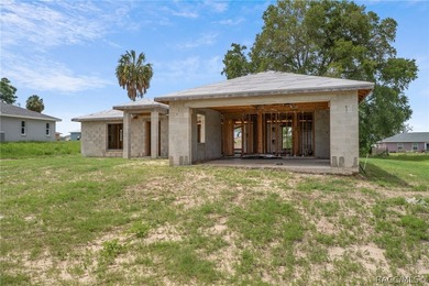 Partially completed new construction home located in Inverness - photo 3