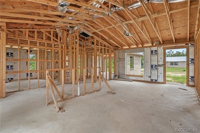 Partially completed new construction home located in Inverness - photo 7
