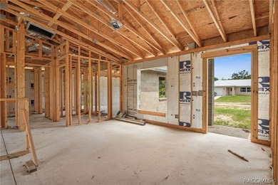 Partially completed new construction home located in Inverness - photo 8