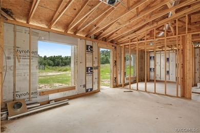Partially completed new construction home located in Inverness - photo 9