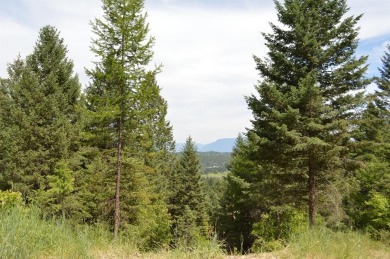 Spencer Lake  Acreage Active Under Con in Whitefish Montana