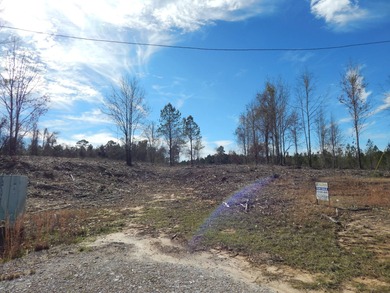 Toledo Bend Reservoir Lot For Sale in Many Louisiana