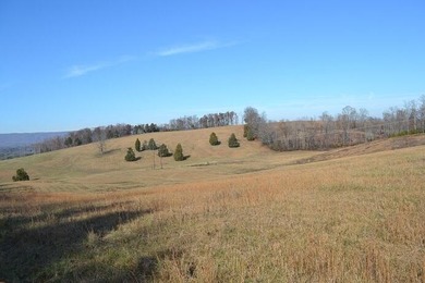 Watts Bar Lake Acreage For Sale in Spring City Tennessee
