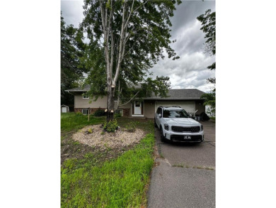 Lake Home For Sale in Linwood Twp, Minnesota