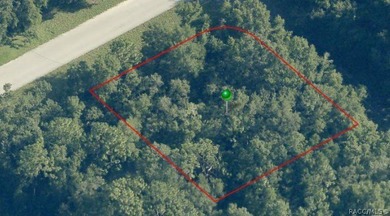 Discover the perfect opportunity to build your dream home or - photo 1