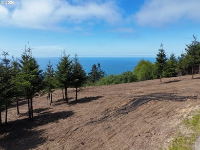 Exceptional opportunity to own 1.38 acres in Brookings, perched - photo 4