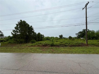 Lehigh Acres Area Lot For Sale in Lehigh Acres Florida
