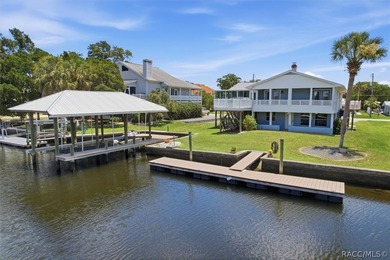 Experience the best of Crystal River waterfront living in the - photo 1