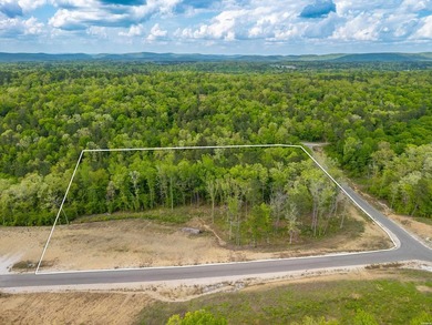 Exceptional 5.4 acre homesite in Rocky Point Estates, a new - photo 2