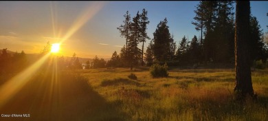 Lake Acreage For Sale in Harrison, Idaho